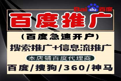 竞价推广策略：某电商平台的成功之路